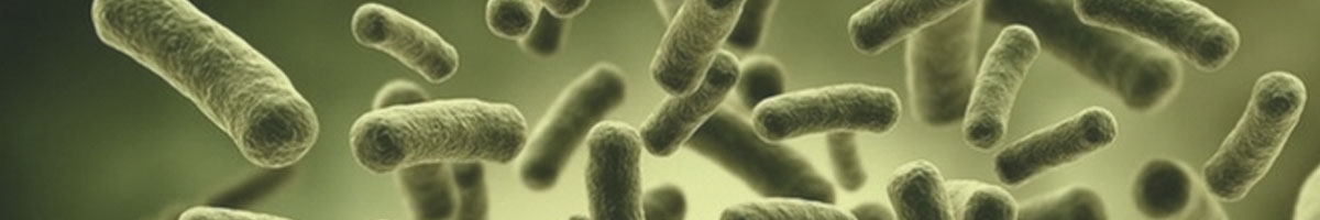 microorganisms