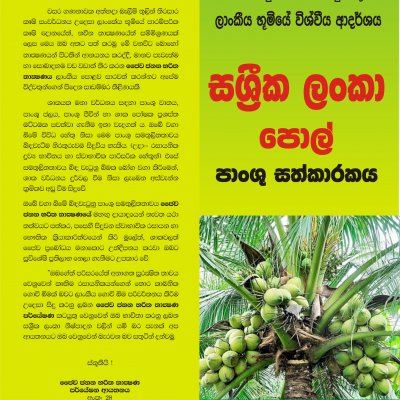 Coconut 
